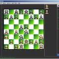 NagaSkaki screenshot
